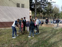 IMG_20190319_102109.jpg